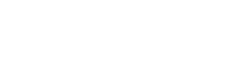White logo NLBL